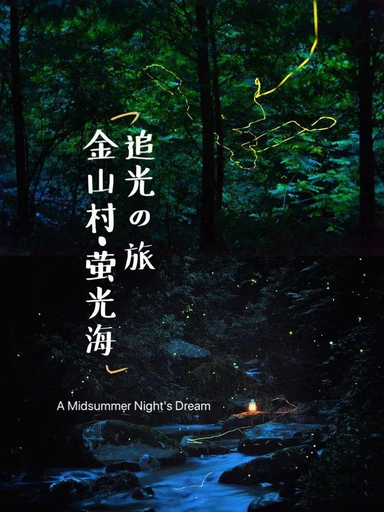 我的虚拟男友